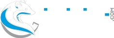 IVISITE