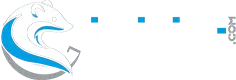 IVISITE